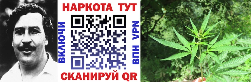 Где купить наркотики Сургут Кокаин Мефедрон Амфетамин А ПВП Бошки Шишки ГАШ