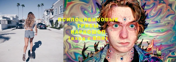 Альфа ПВП Алзамай