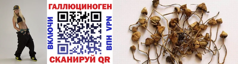 Галлюциногенные грибы мицелий  купить  цена  Сургут 