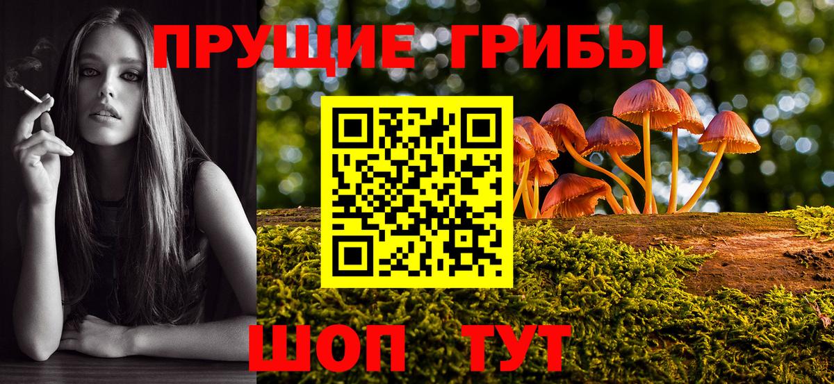 Галлюциногенные грибы мицелий Сургут