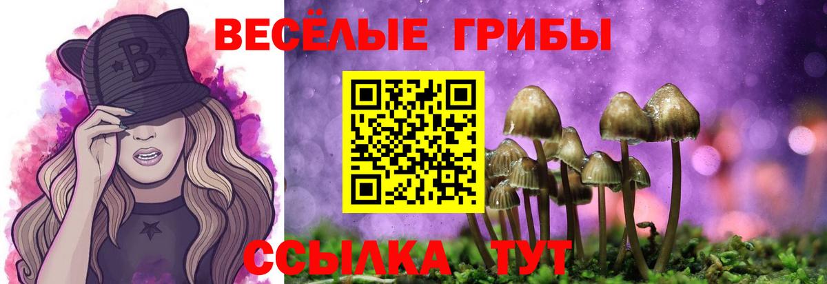 Галлюциногенные грибы прущие грибы  Вход с VPN  продажа наркотиков  Сургут 