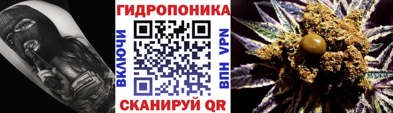 Каннабис Bruce Banner  OMG сайт  Сургут  цена наркотик 